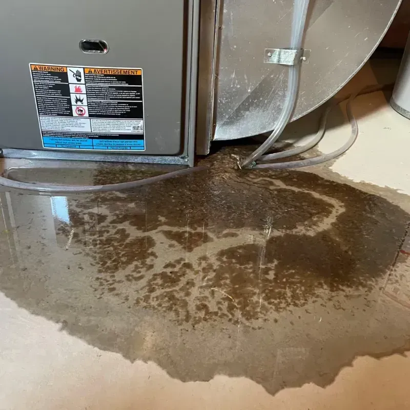 Appliance Leak Cleanup in Post, TX